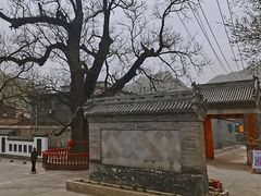 -康陵正德春饼宴26号