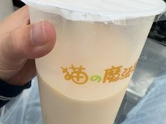 -猫的魔法密林(衣裳街店)