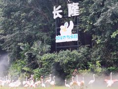 -广州长隆飞鸟乐园