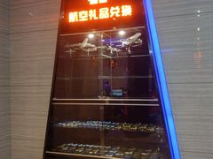 -赫帝拉航空主题餐厅(南宁店)