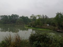 -桤木河湿地公园