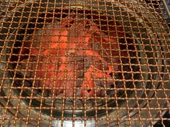 -九田家黑牛烤肉料理(中北镇店)