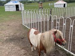 -塞罕坝国家级自然保护区