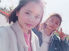 -荷兰花海