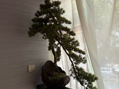 -上足·影院足道·SPA(红岭店)