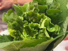 -揽月斋炙子烤肉·清真(安定门·五道营店)