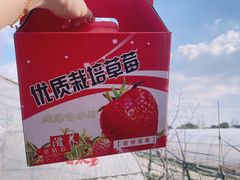 -小鱼草莓采摘园农家乐·小鱼餐厅