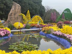 -南山植物园