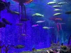 -沈阳海洋探索中心