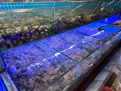 -海韵之星邮轮水会(明发商业广场店)