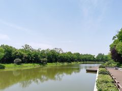 -上海海湾国家森林公园