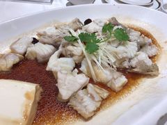 清蒸龙胆鱼-喜宴又一村·粤菜·茶点·海鲜(壹方天地店)