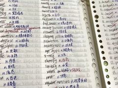 -JT PREP国际学科课程·IB·AP·Alevel(陆家嘴校区)