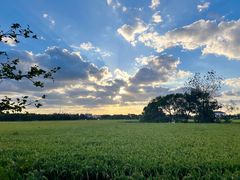 -海宁煲农家菜(惠南镇店)