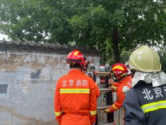 -美联众合动物医院·24h京西诊疗中心
