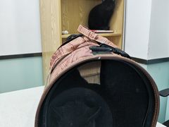 -中农大我爱我爱动物医院·核磁CT·猫病·24小时夜诊中心(石佛营店)