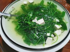 豆苗汤-迎懿餐厅