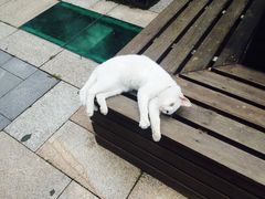 -扬州东关街文昌阁桔子水晶酒店