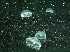 -青岛海底世界-水族馆