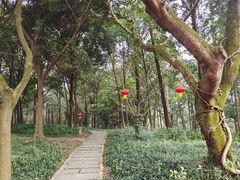 -峨眉山报国寺