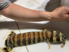 -海盗餐厅