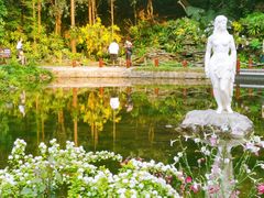 -深圳市中科院仙湖植物园