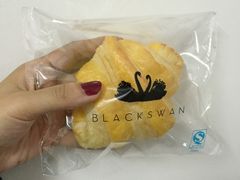 -BLACKSWAN黑天鹅(环球店)