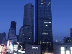 -唐拉雅秀酒店-唐苑中餐厅
