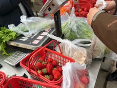 -大自然农场蔬菜草莓采摘园