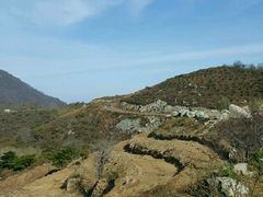 -阳台山自然风景区