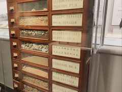 -北京大学赛克勒考古与艺术博物馆