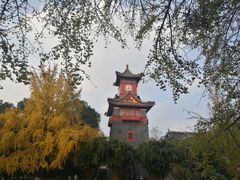 -四川大学(华西校区)