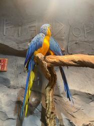 -Zoolung Zoolung动物主题公园(海信广场店)