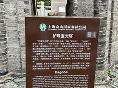 -上海佘山国家森林公园天马山园