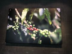 -星巴克(福州大洋百货分店)