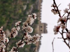 -居庸关长城