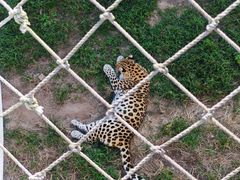 -西霞口神雕山野生动物世界