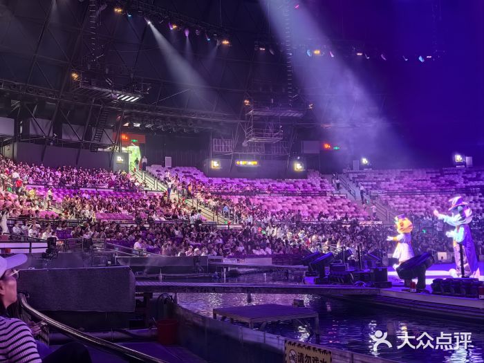 广州长隆国际大马戏图片