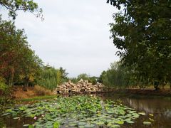 -黄陂区野村谷景区
