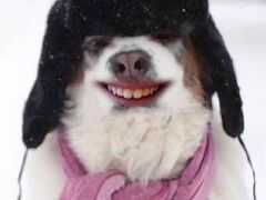 -S Team剧情密室(杭州龙翔桥店)