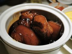 -佬肥猫(国华广场店)