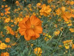 -宁波浙东大竹海景区