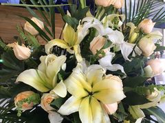 -ZOO COFFEE 动物园咖啡(亦庄店)