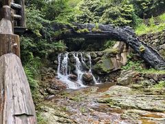 -花溪风景区