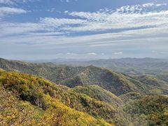 -天女山森林公园