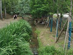 -白水寺森林公园