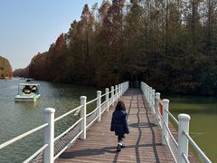 -上海海湾国家森林公园