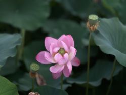 -大望京儿童游乐场