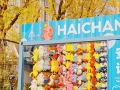 -海合安成都极地海洋公园