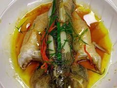-大班家政月嫂育儿嫂(深圳NO.1店)